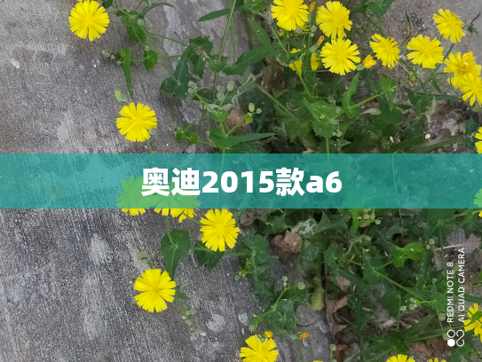 奥迪2015款a6