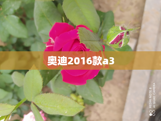 奥迪2016款a3