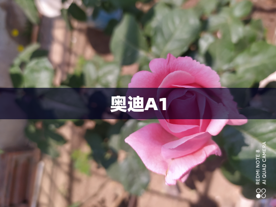 奥迪A1