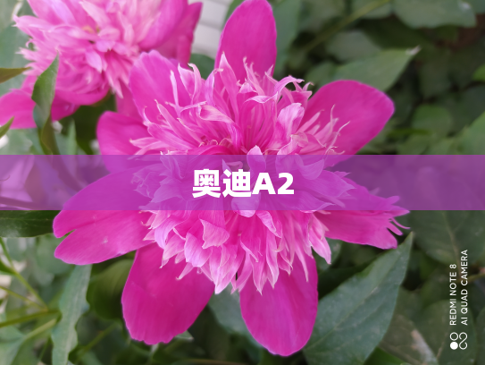 奥迪A2