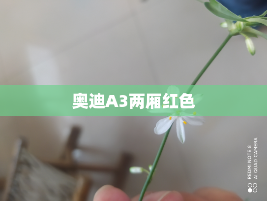 奥迪A3两厢红色