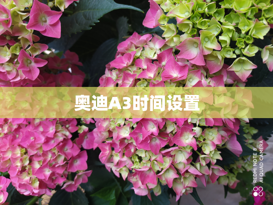 奥迪A3时间设置