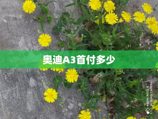 奥迪A3首付多少