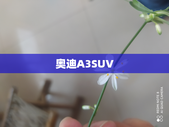 奥迪A3SUV