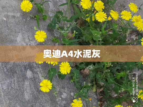 奥迪A4水泥灰
