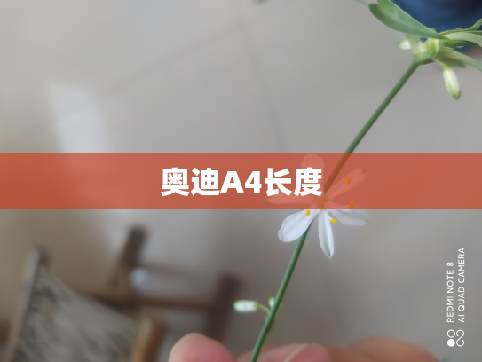 奥迪A4长度