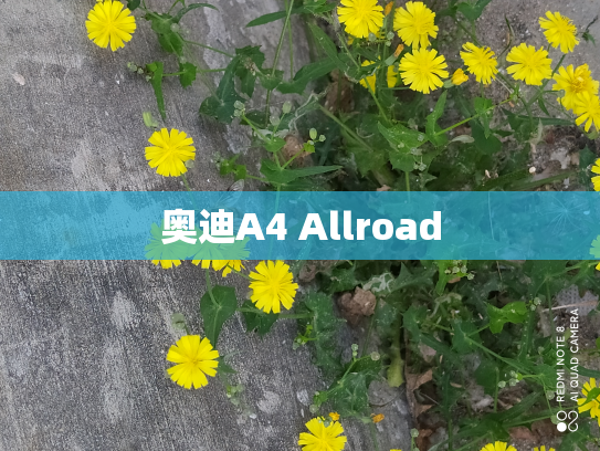 奥迪A4 Allroad