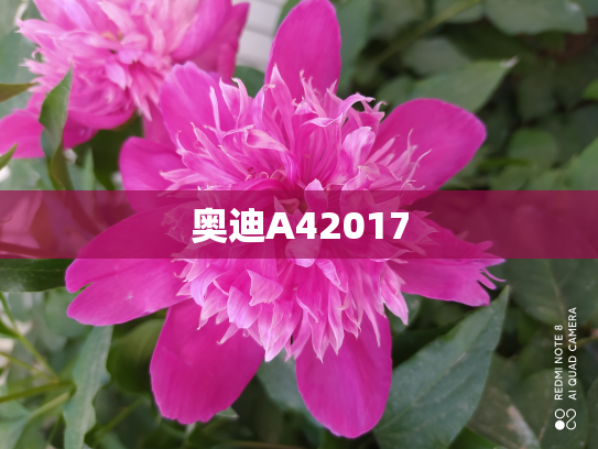 奥迪A42017