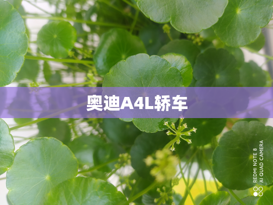 奥迪A4L轿车