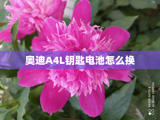 奥迪A4L钥匙电池怎么换