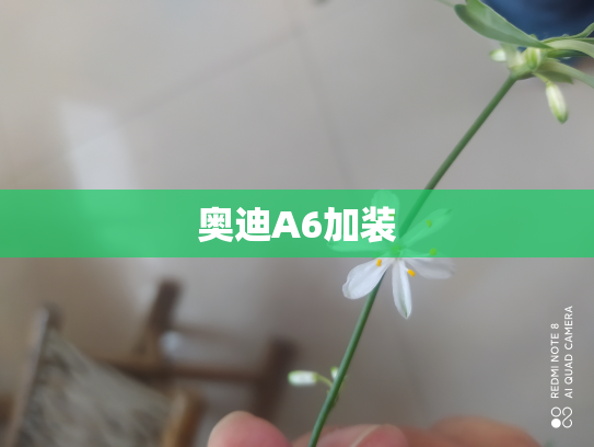 奥迪A6加装