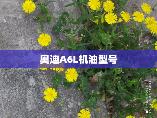 奥迪A6L机油型号