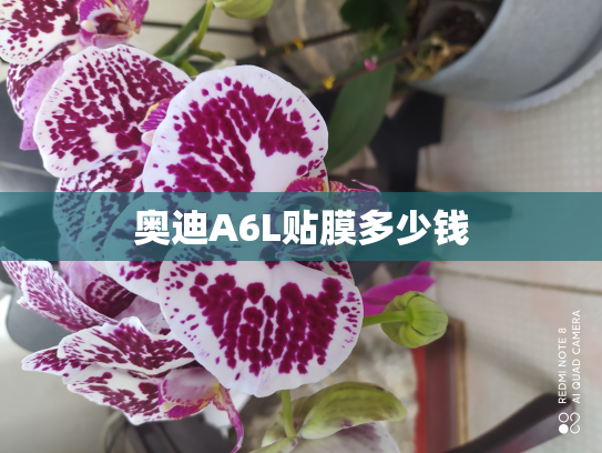 奥迪A6L贴膜多少钱