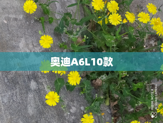 奥迪A6L10款