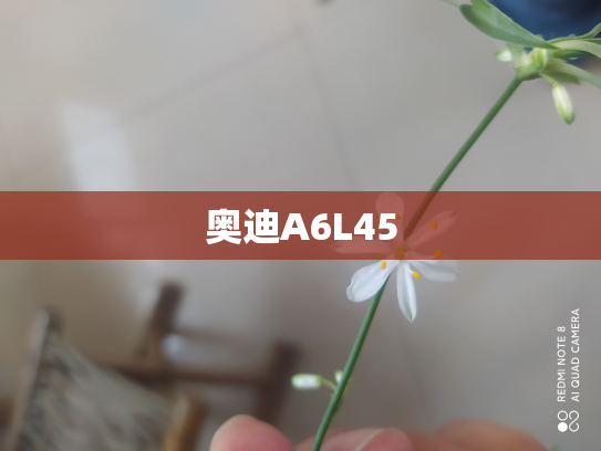 奥迪A6L45