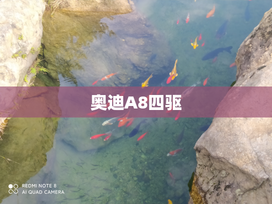 奥迪A8四驱