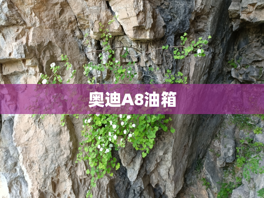 奥迪A8油箱