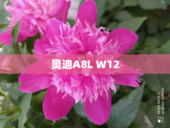 奥迪A8L W12