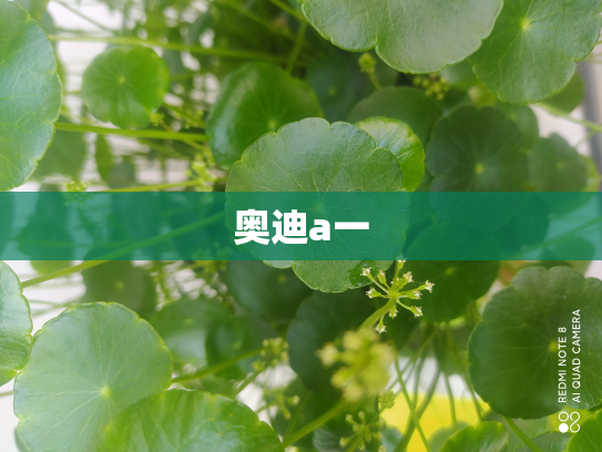奥迪a一