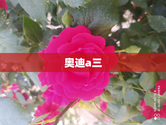 奥迪a三