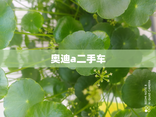 奥迪a二手车