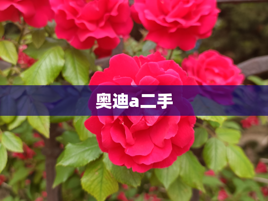 奥迪a二手