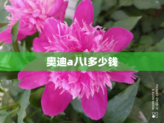 奥迪a八l多少钱