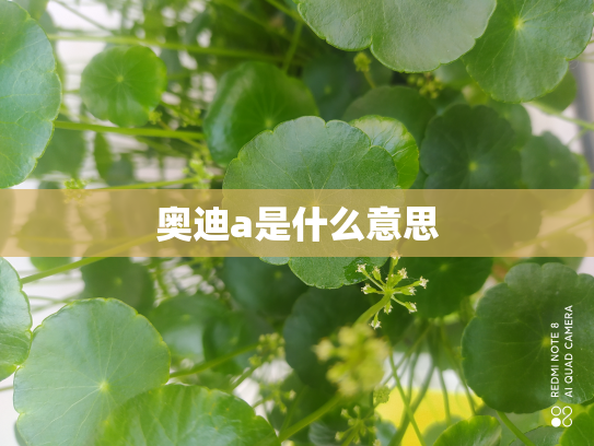 奥迪a是什么意思