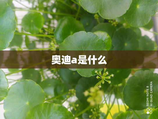 奥迪a是什么