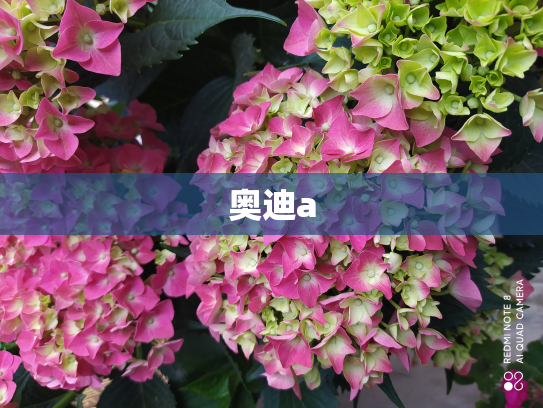 奥迪a