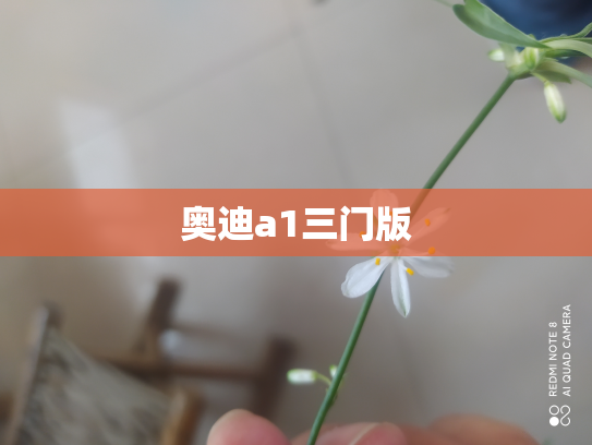 奥迪a1三门版