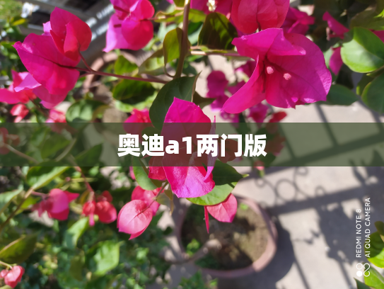 奥迪a1两门版