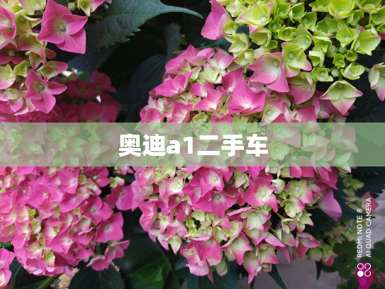 奥迪a1二手车