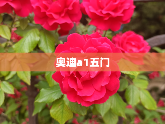 奥迪a1五门