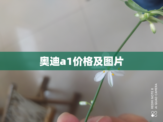 奥迪a1价格及图片