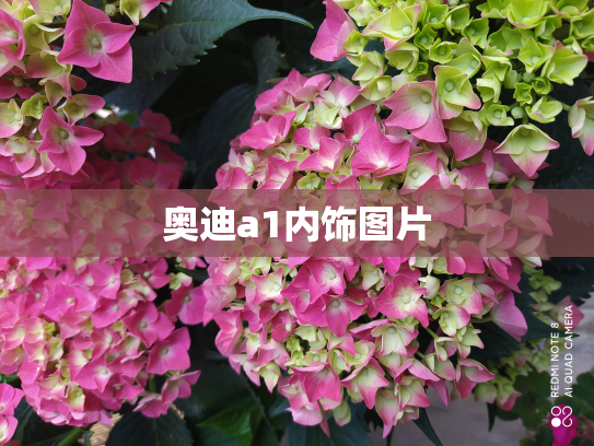 奥迪a1内饰图片