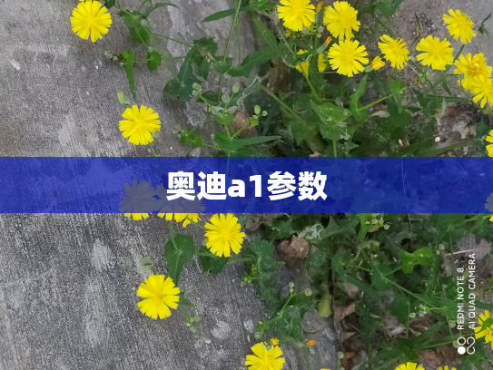 奥迪a1参数