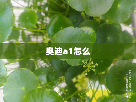 奥迪a1怎么