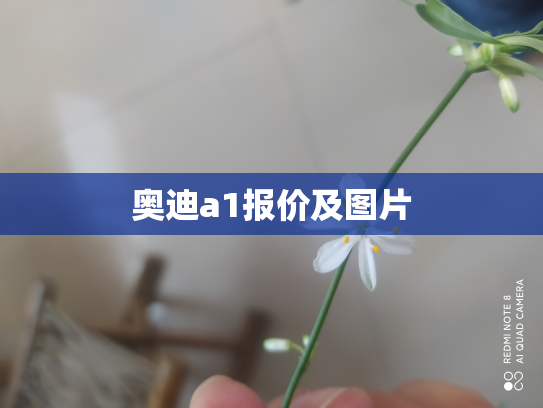 奥迪a1报价及图片