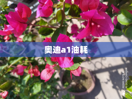 奥迪a1油耗