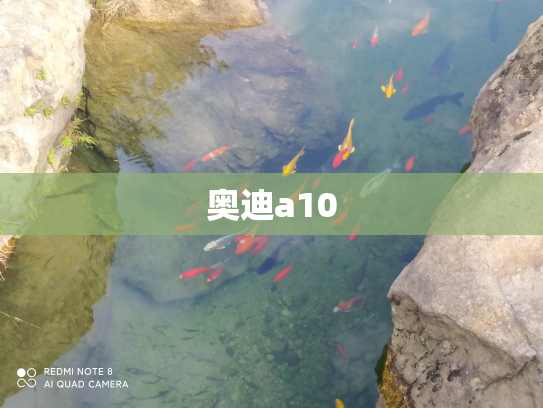 奥迪a10