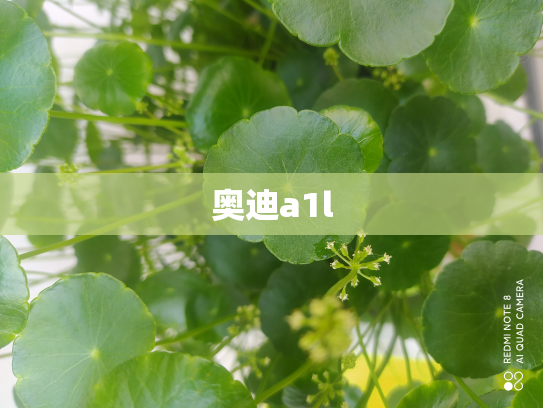 奥迪a1l
