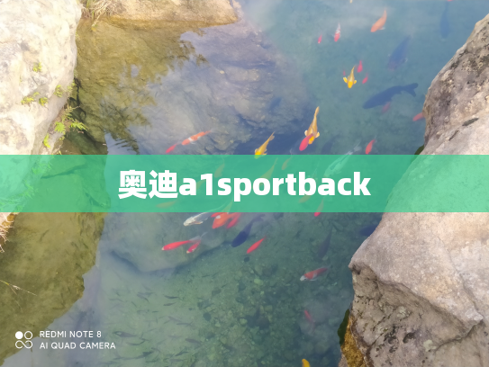 奥迪a1sportback