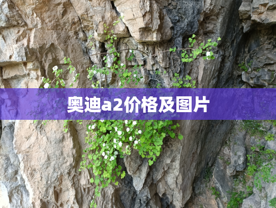 奥迪a2价格及图片
