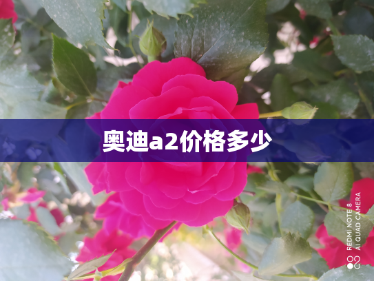 奥迪a2价格多少