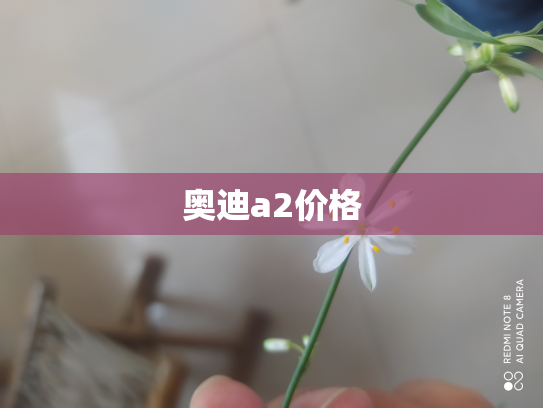 奥迪a2价格