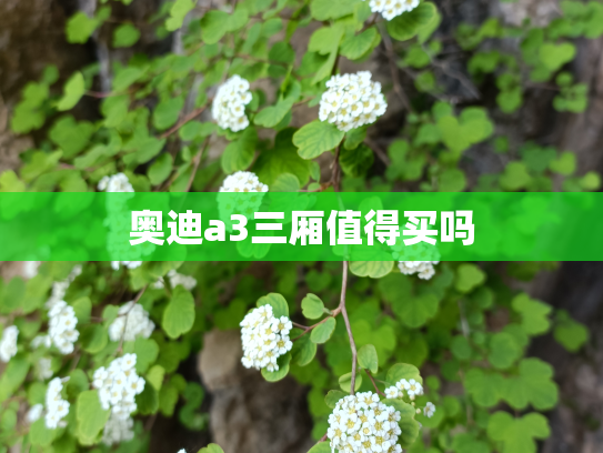 奥迪a3三厢值得买吗