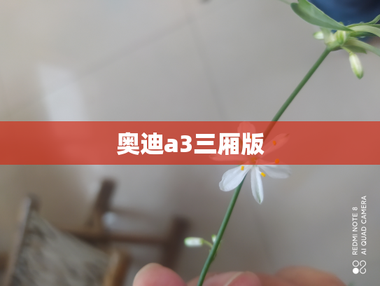 奥迪a3三厢版