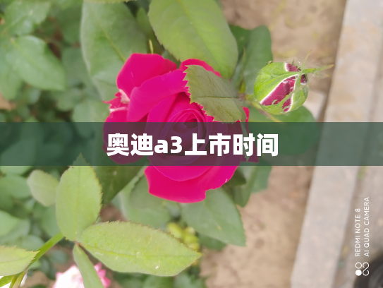 奥迪a3上市时间