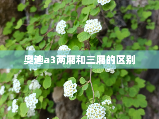 奥迪a3两厢和三厢的区别